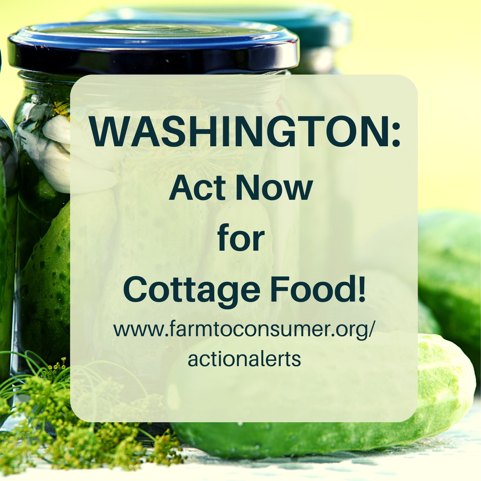 Washington State Pickles Action Alert