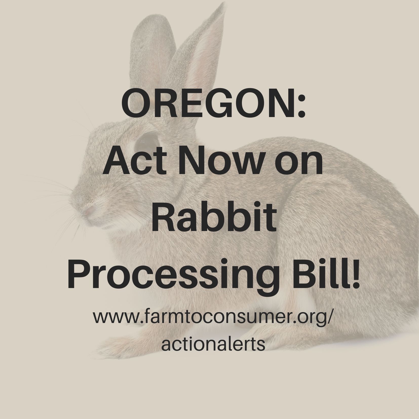Washington State Pickles Action Alert