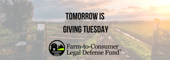 Giving Tuesday is tomorrow!