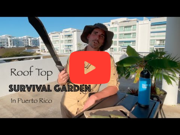 survival garden in puerto rico