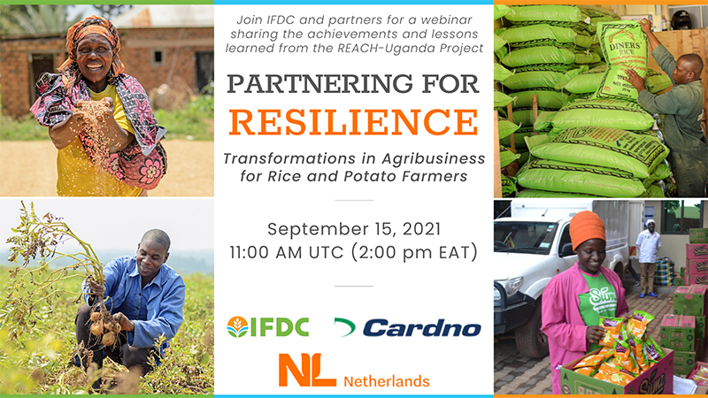 REACH Webinar Banner