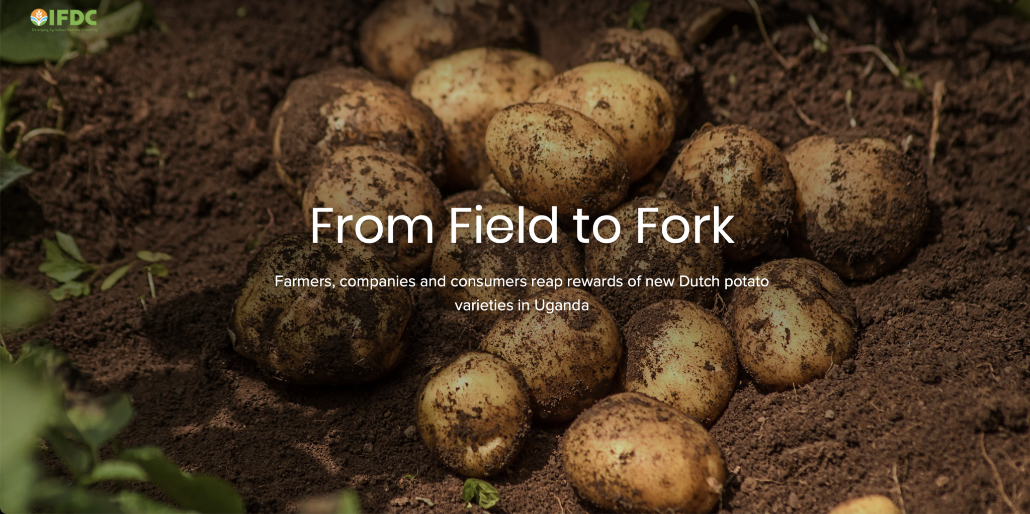 Field to Fork Cover