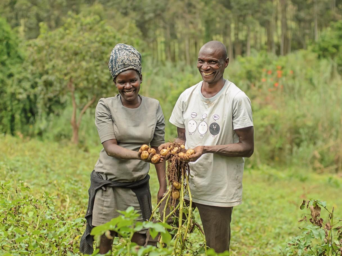 A male & female couple of smallholder farmers in Uganda hold their prized high-quality potatoes