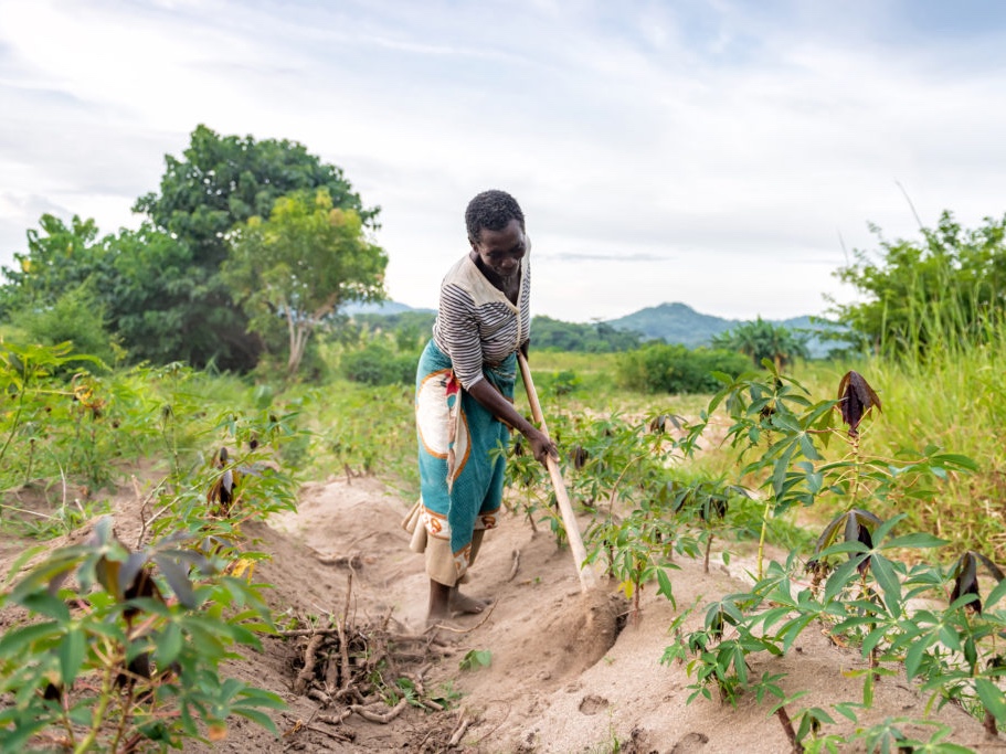 An African woman tends to her field