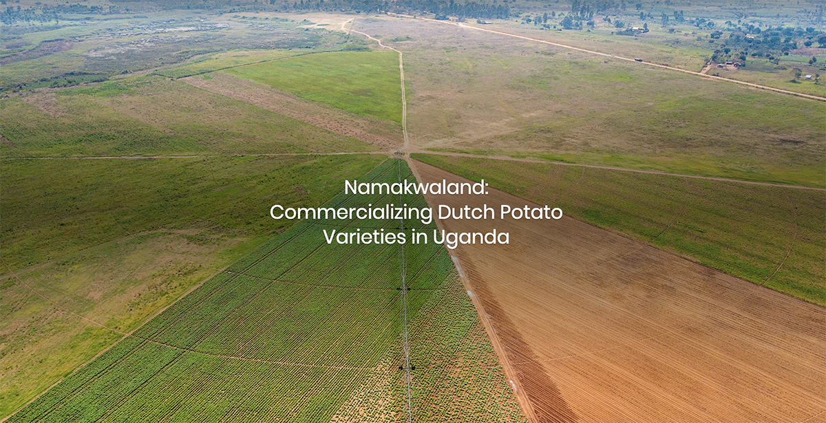 Namakwaland Story Cover- Image of a field