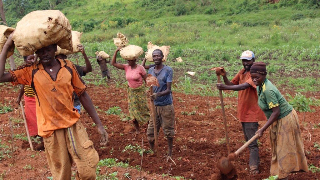 Individuals in field in Burundi