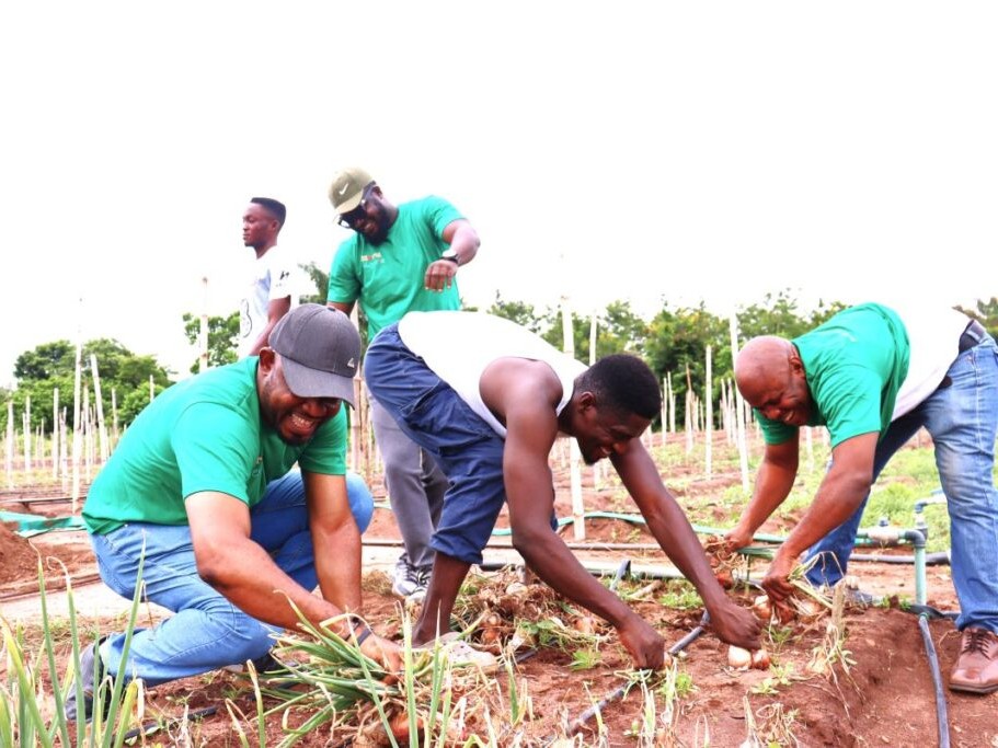 West African officials come together to discuss the region's fertilizer ecosystem