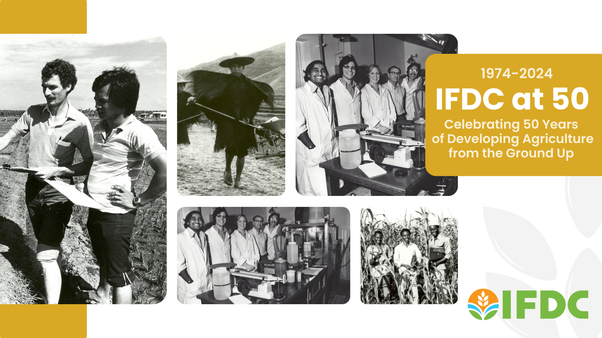 IFDC 50th anniversary graphic