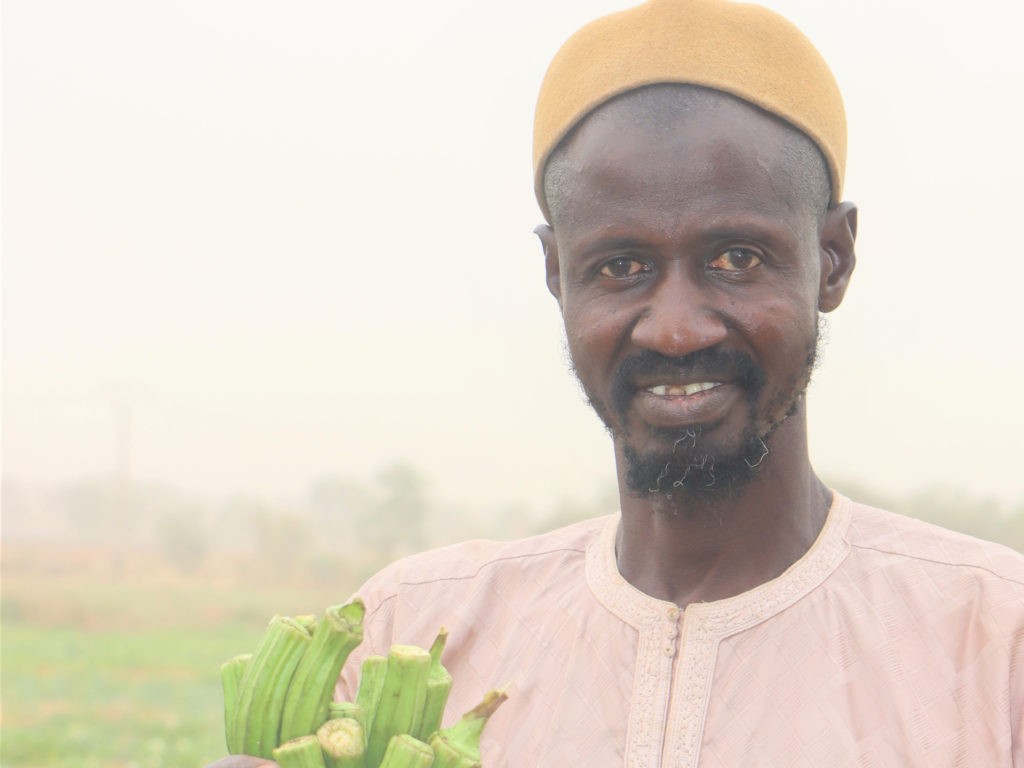 A man in a pink shirt and orange hat holds a hand full of okra