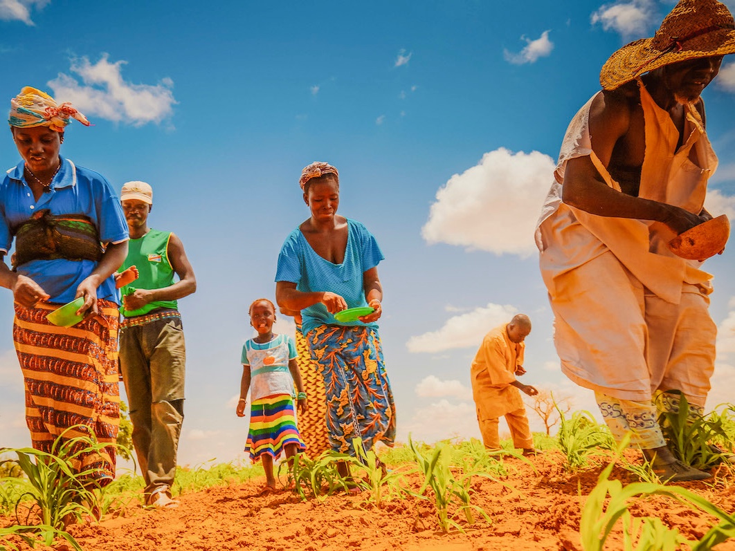 FDP-MD project participants apply their new microdosing knowledge from IFDC in the field.