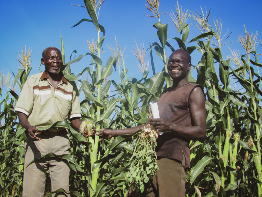 Farmers show off their mini-seed packets in South Sudan