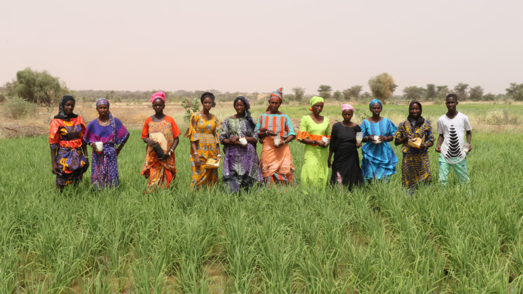 Chemonges Gilbert and son