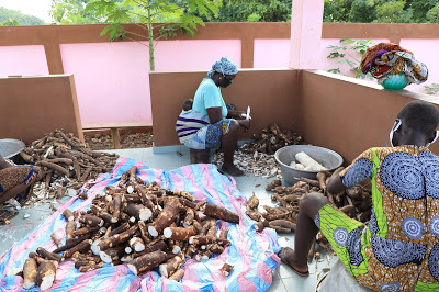 Women process cassava