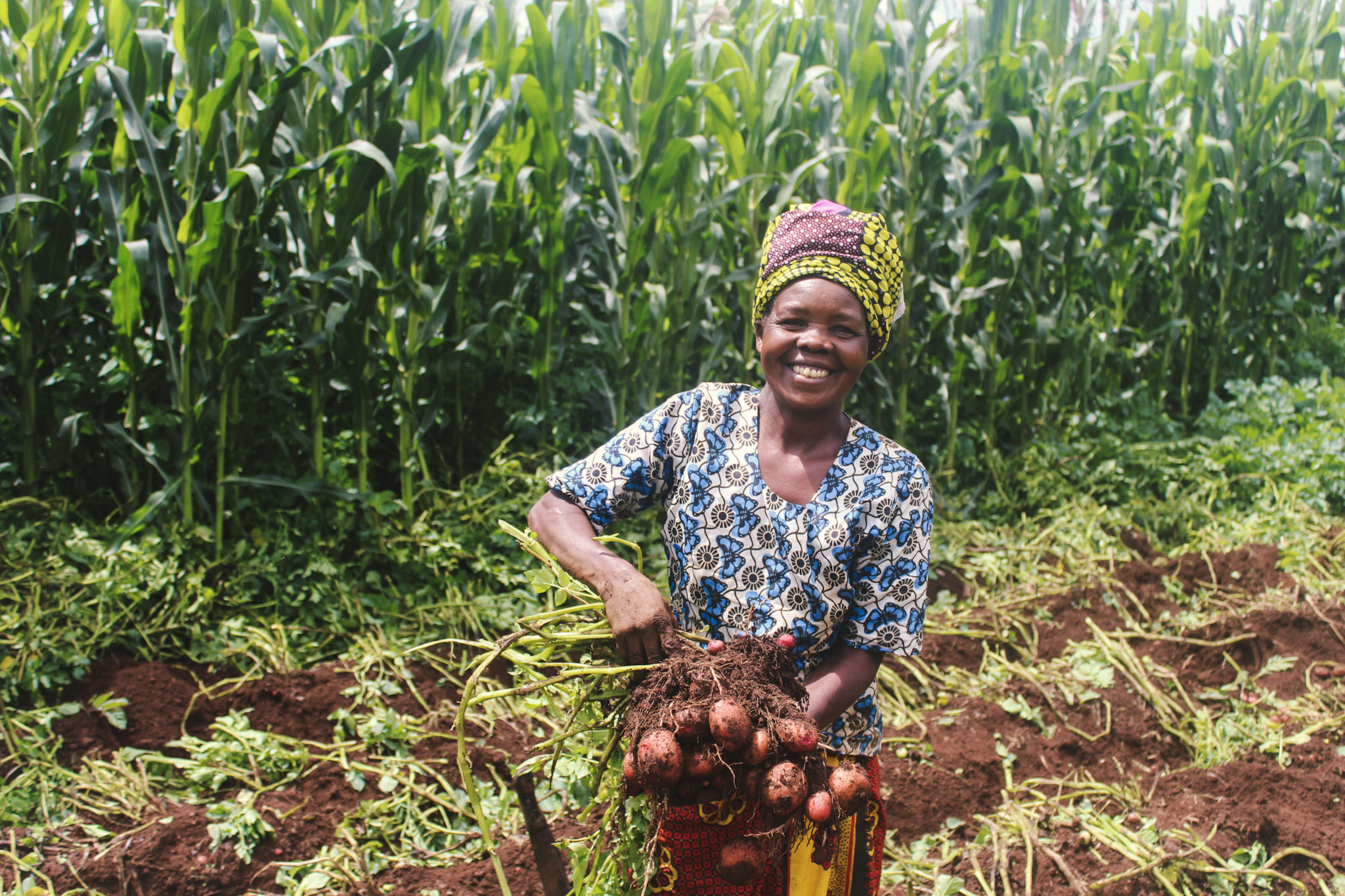 Farmer stands with her potatoes in field
