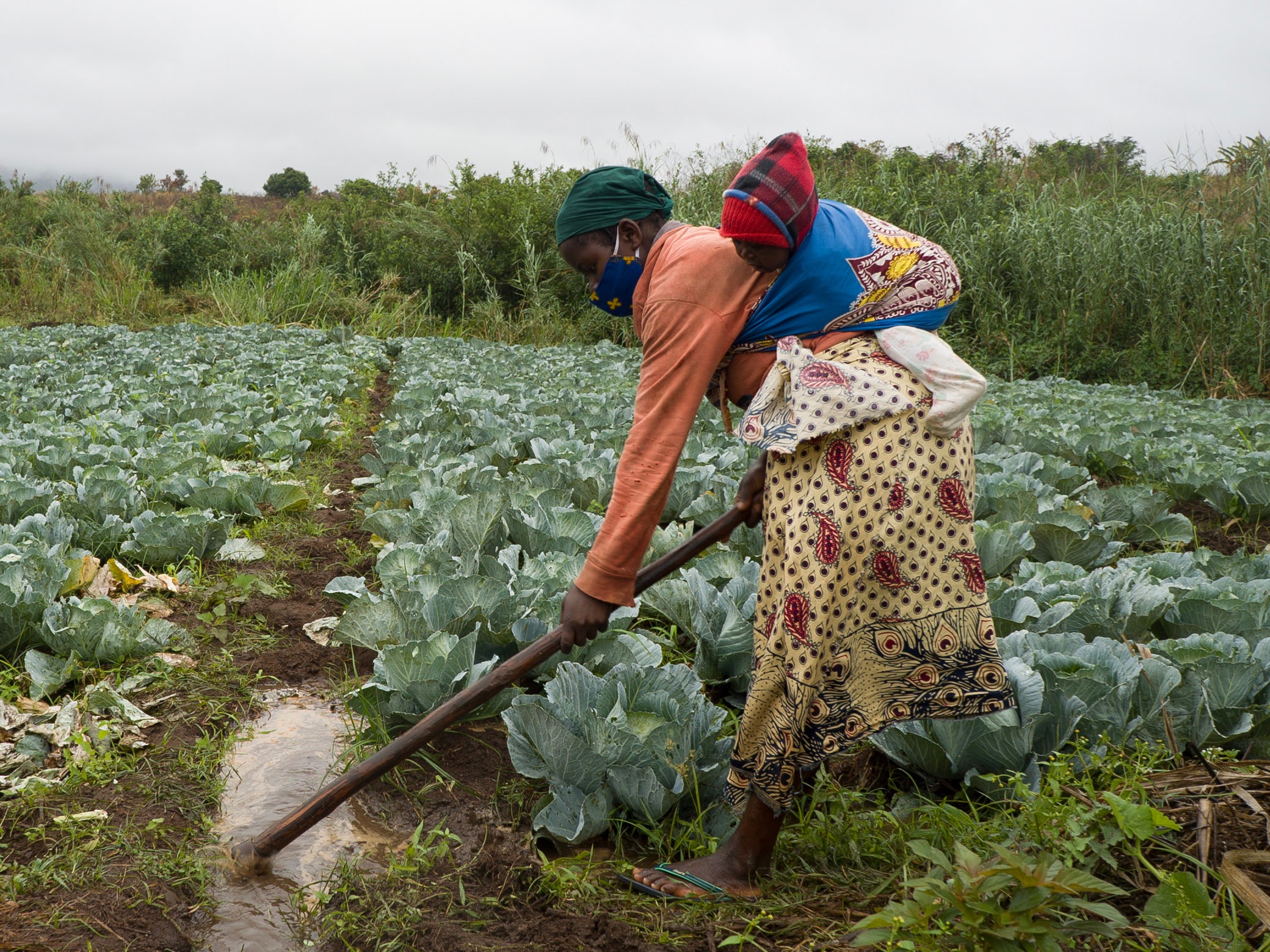 Mozambican woman prepares her field for proper irrigation while carrying her child on her back