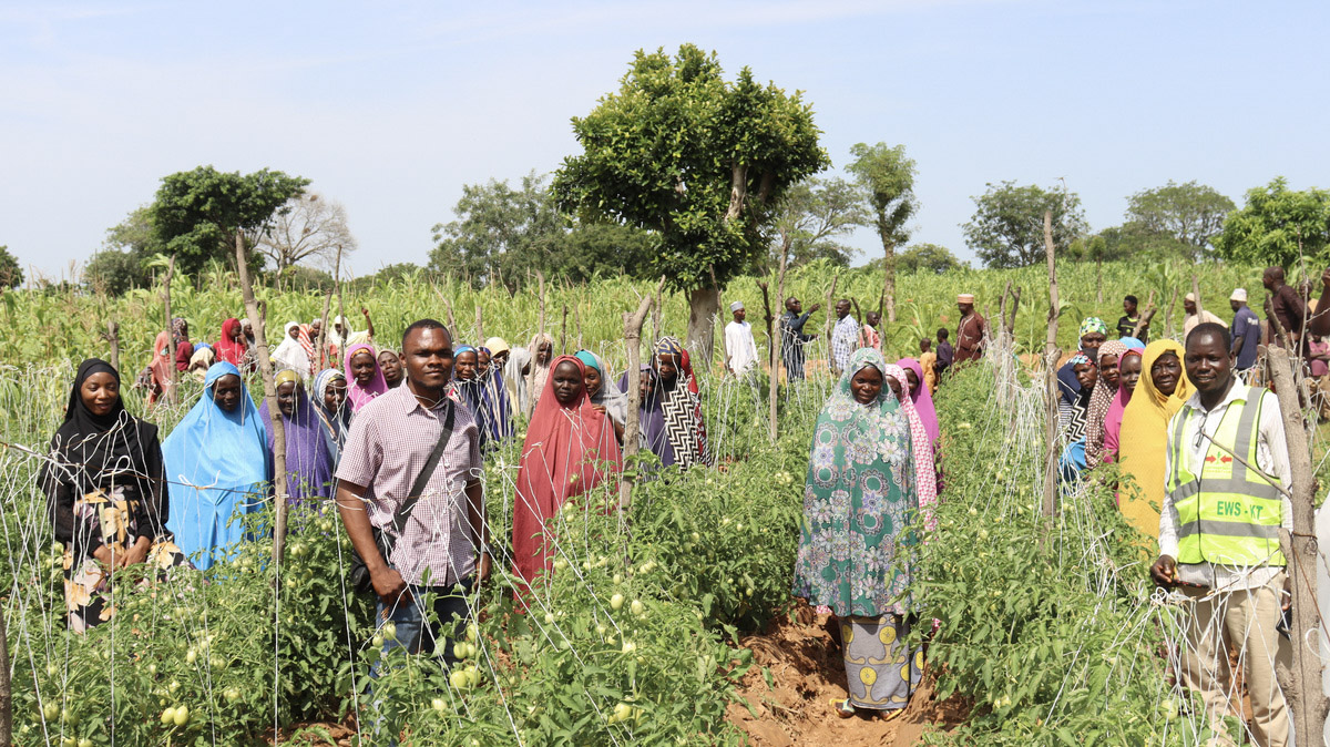 A group of 20+ male and female farmers stand in a field in Nigeria