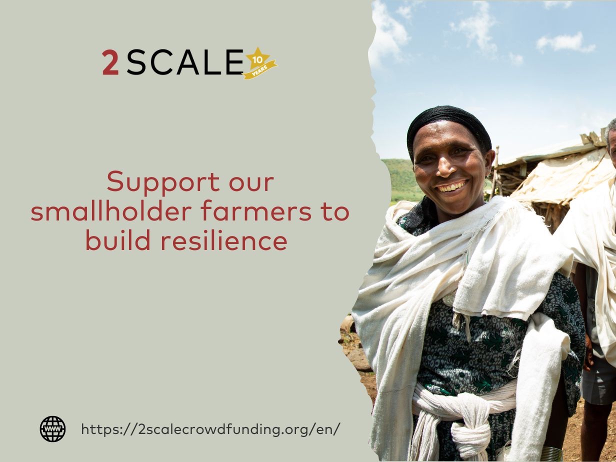 2SCALE crowdfunding banner: “Support our smallholder farmers to build resilience“ with a picture of a female Ethiopian farmer