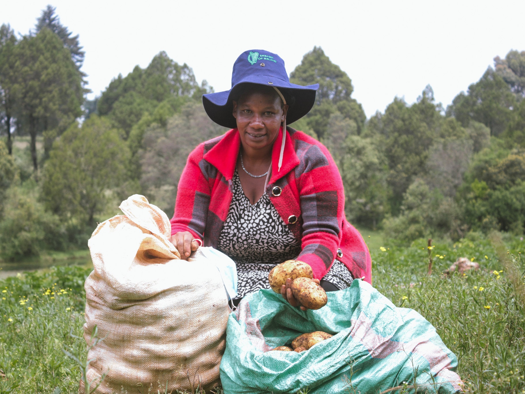Kenyan female farmer holding locally-grown potatoes