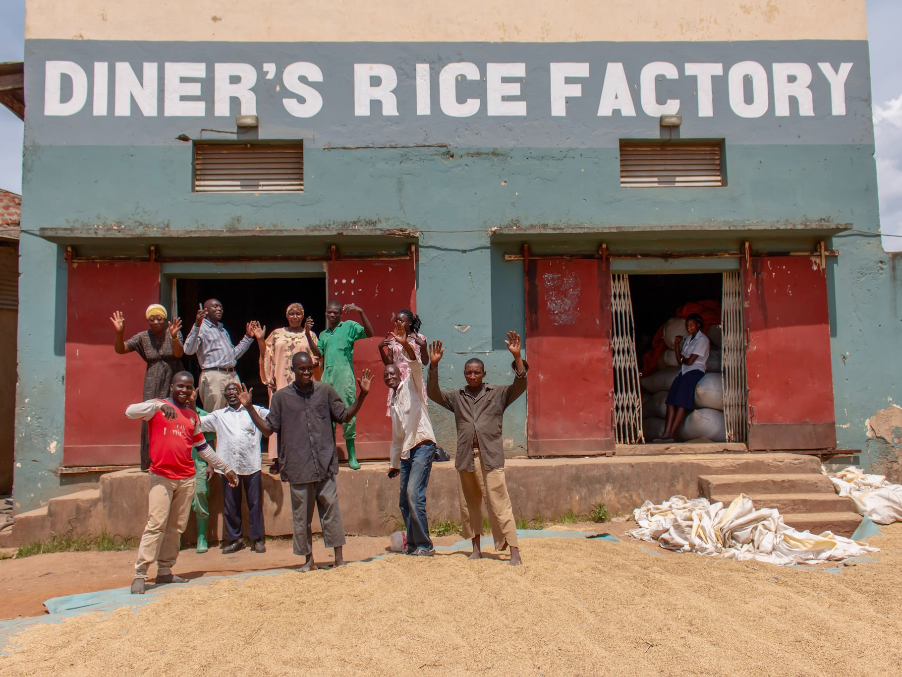 10 market systems members, men and women, dance in front of the Diner's Rice Factory in Uganda