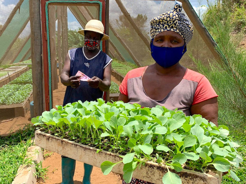 A woman holds a tray of seedlings while a man counts money behind her
