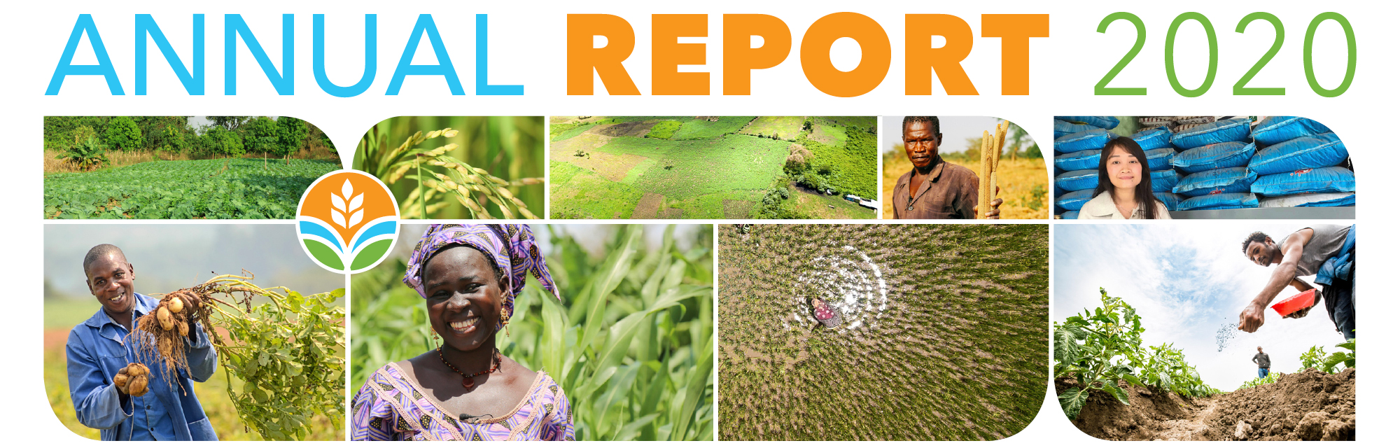 Annual Report Banner