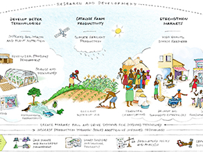 IFDC's mission in action