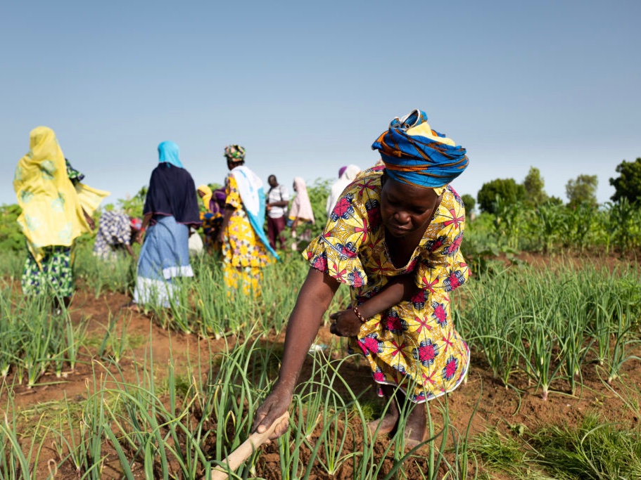 A female 2SCALE participant weeds her field in Mali while other women work behind her