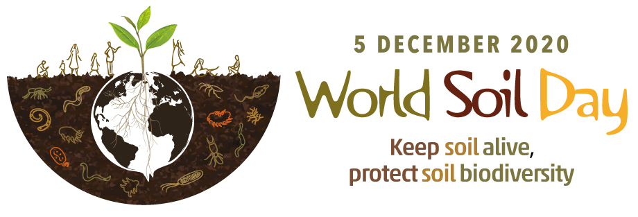 World Soil Day Banner
