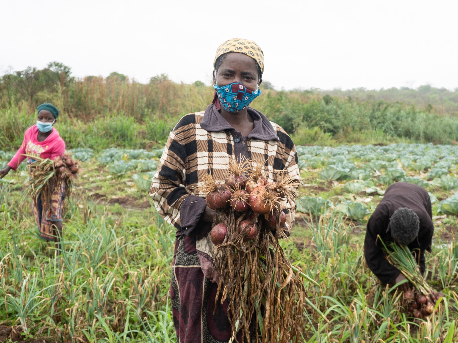 Farmers in Mozambique