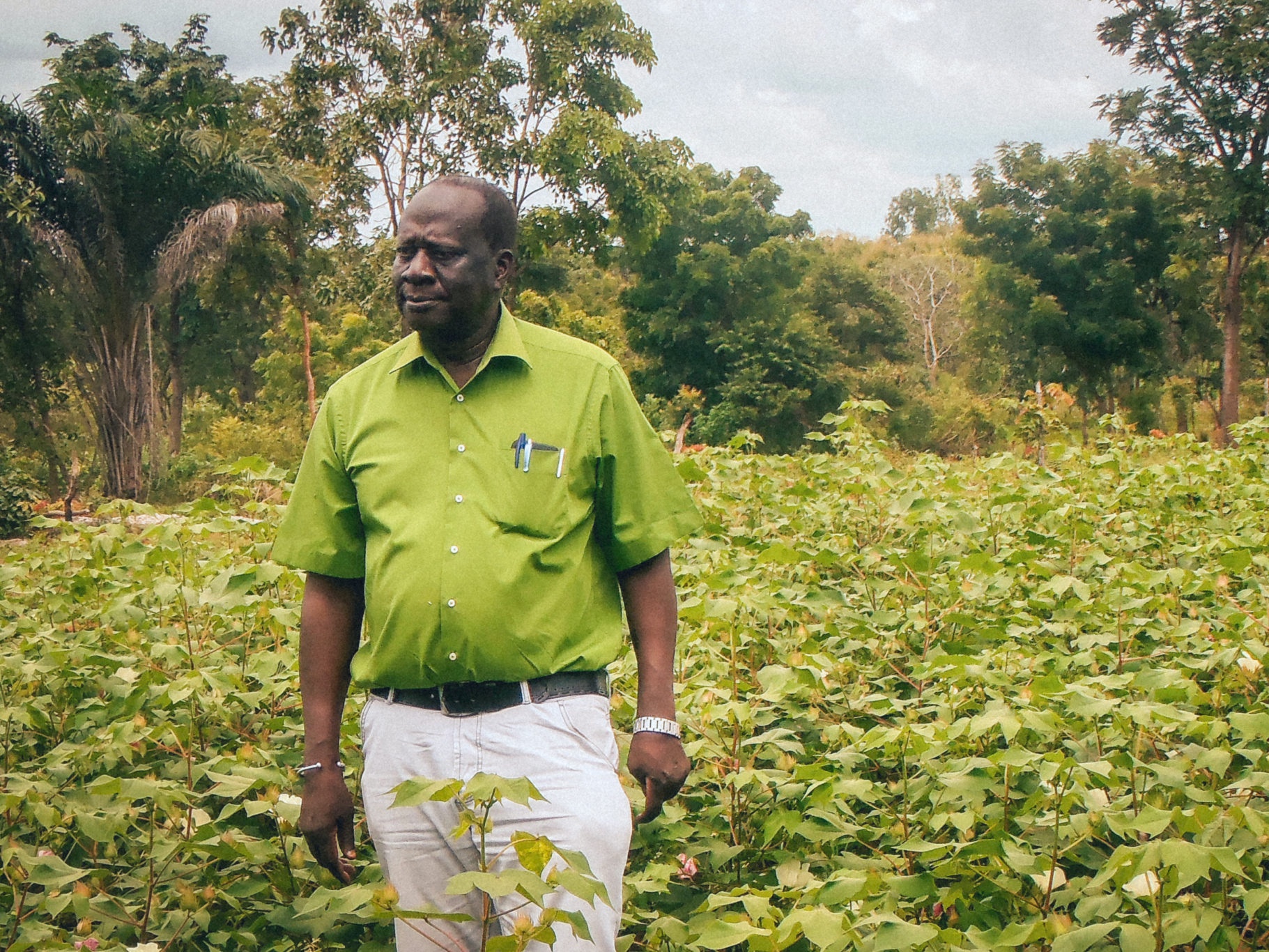 Dr. Bationo stands in field