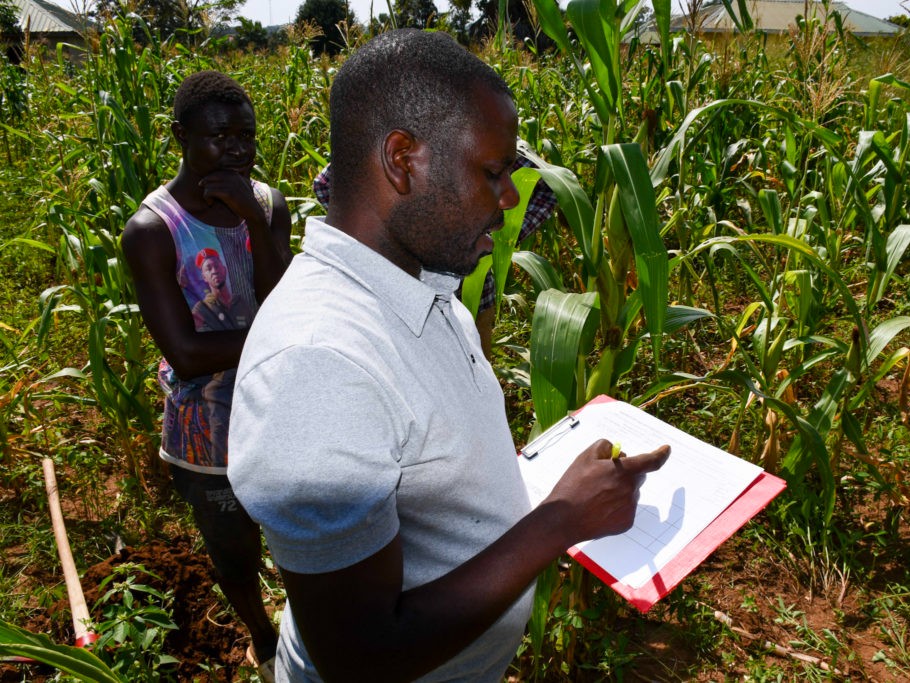 A man in a white shirt holds a red clip board in a field