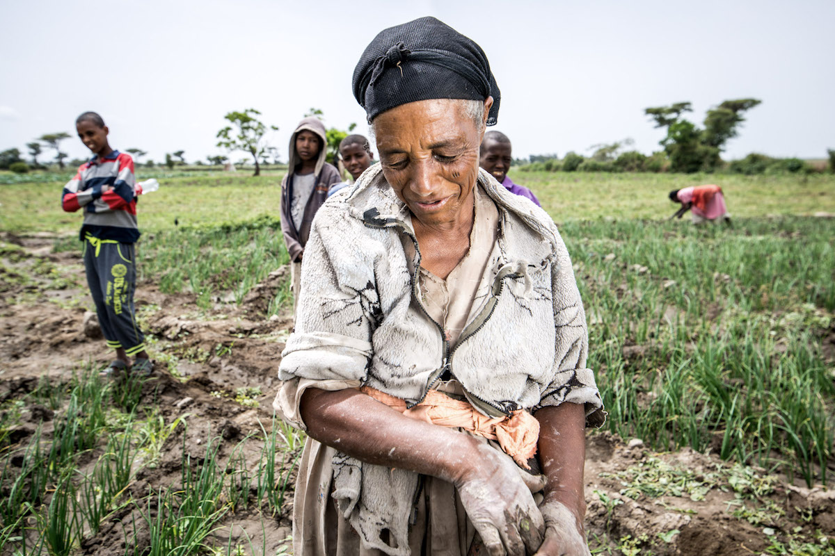 A female farmer in a field in Ethiopia