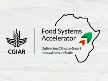 Food Systems Accelerator Logo