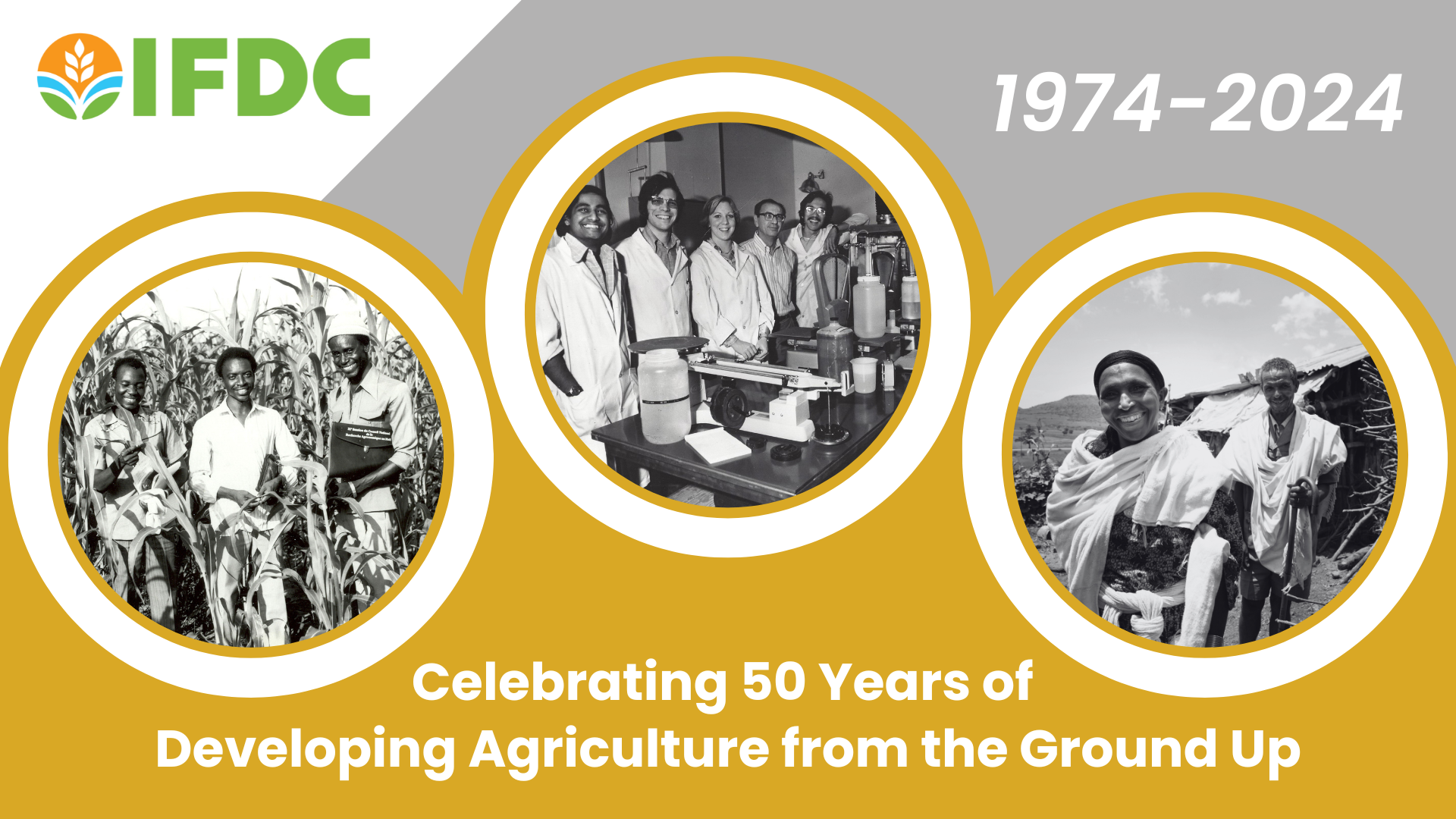 IFDC 50th anniversary graphic