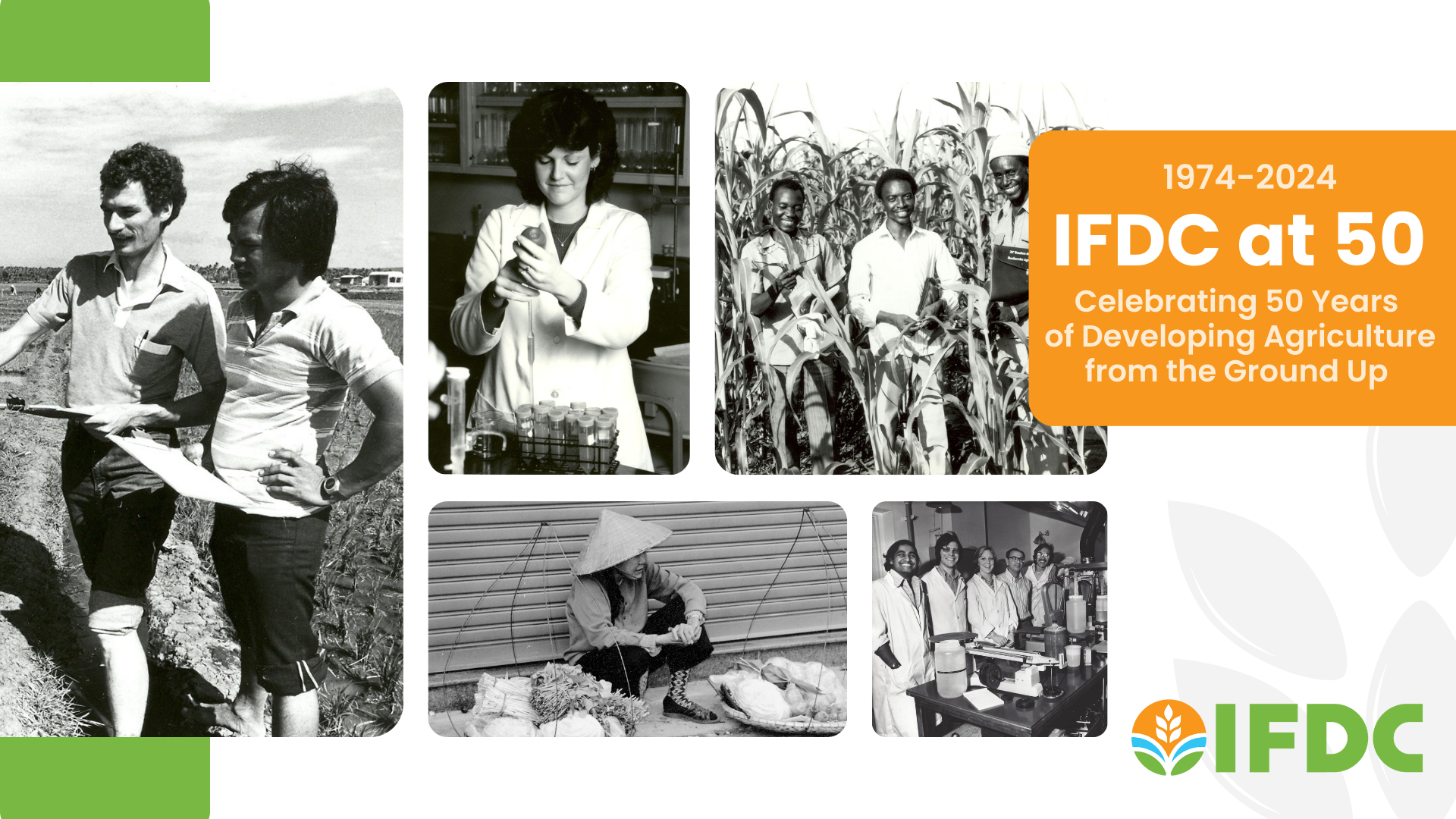 IFDC 50th anniversary graphic