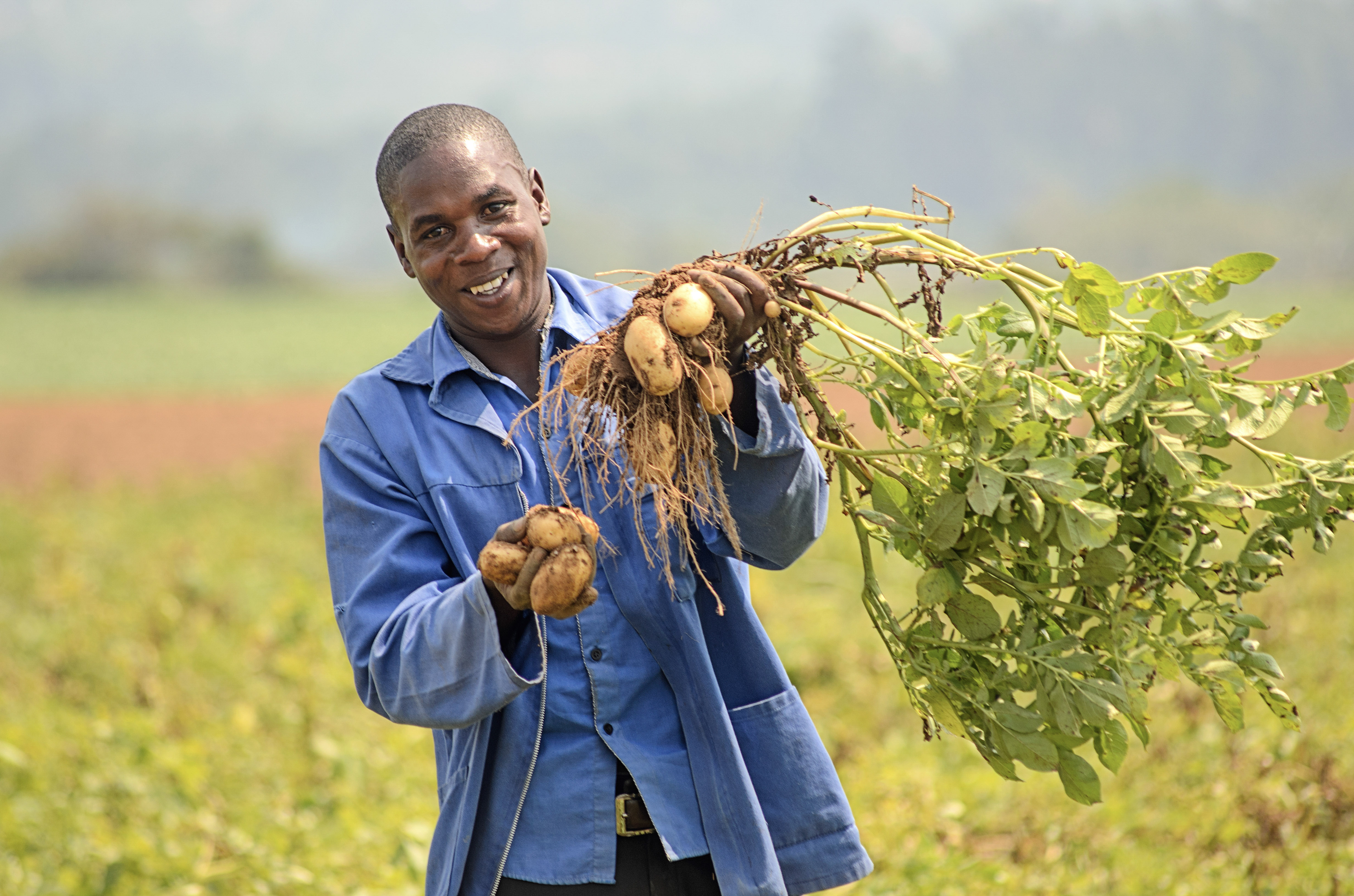 REACH Webinar Banner