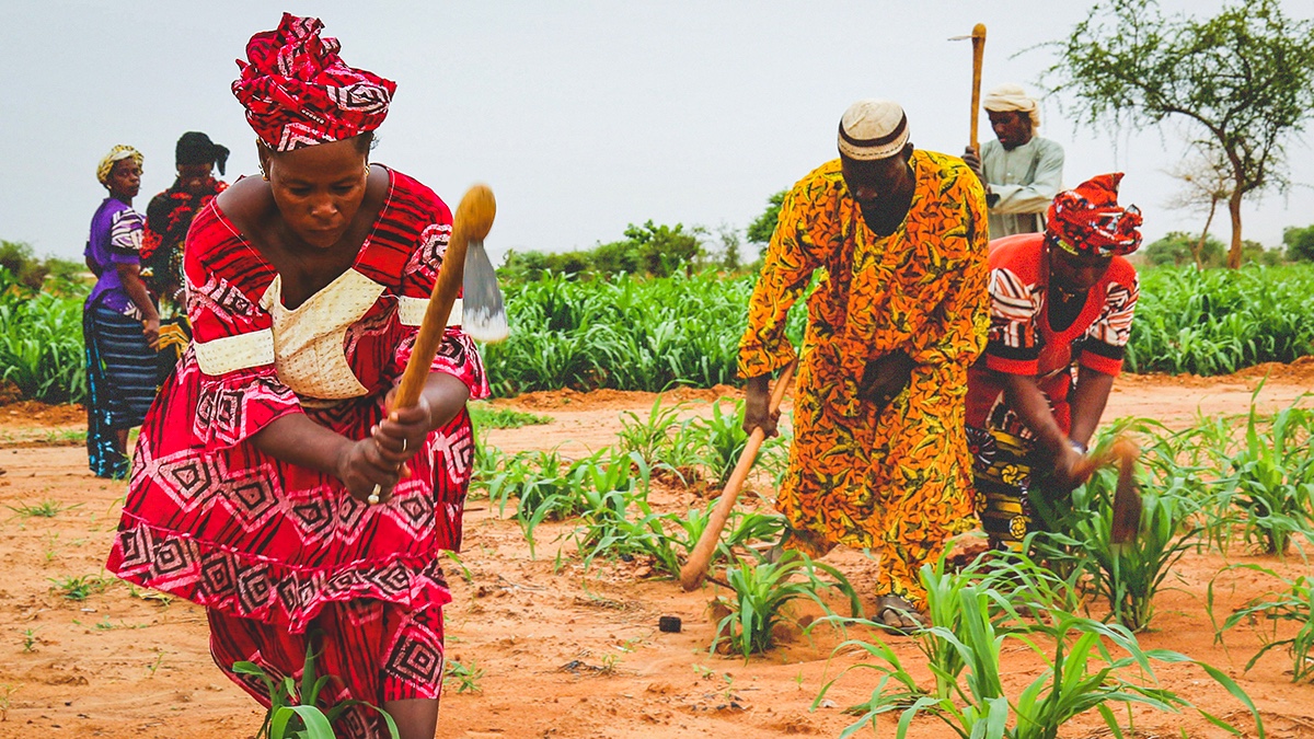 FDP-MD Placement in Mali; Woman using Hoe