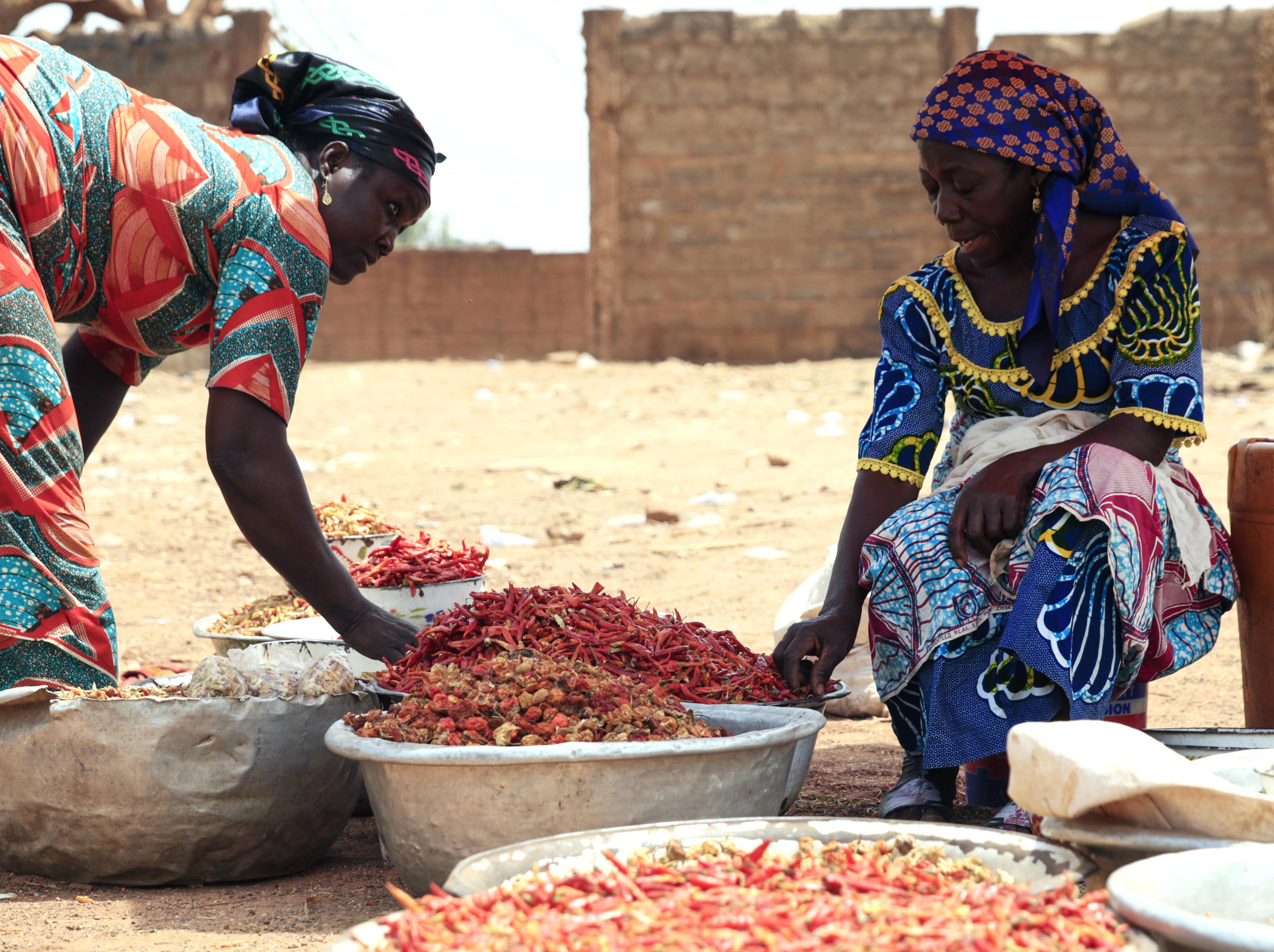 Two women sort chili peppers for market