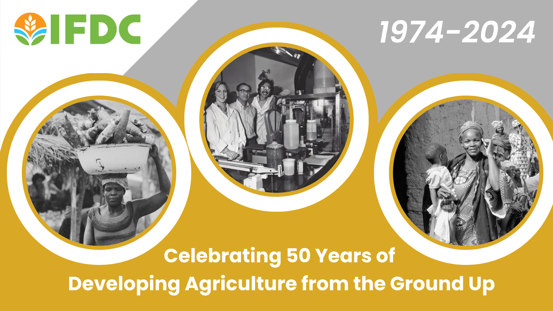 IFDC 50th anniversary graphic