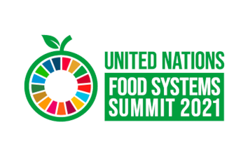 UNFSS Logo