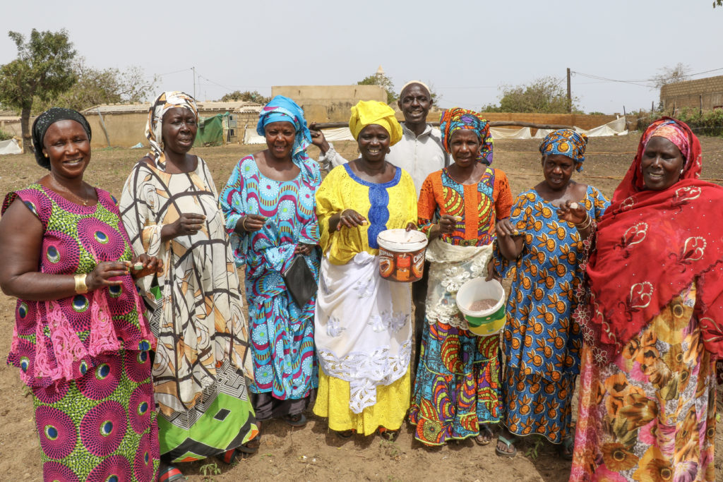 Seven women from Senegal pose during a microdosing training session