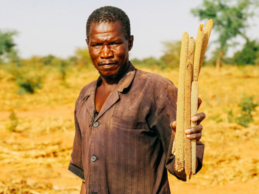 Farmer, Issa Guindo, holds millet produced using the microdosing technology
