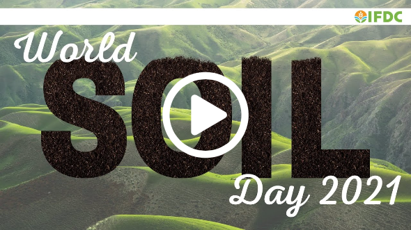 Happy World Soil Day 2021 from IFDC! When it comes to achieving the Sustainable Development Goals and transforming the world, the answer lies beneath our feet!