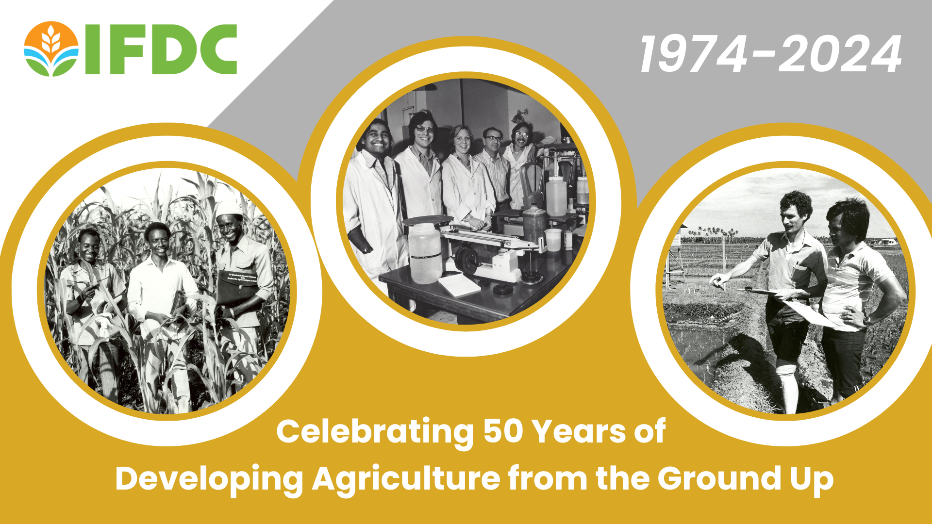 IFDC 50th anniversary graphic