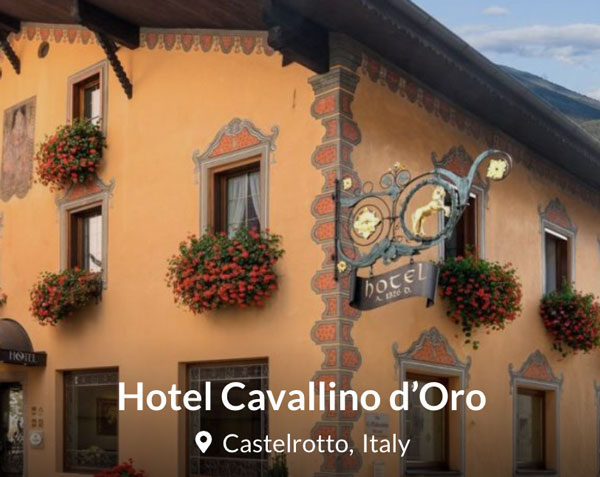 Cavallino d'Oro