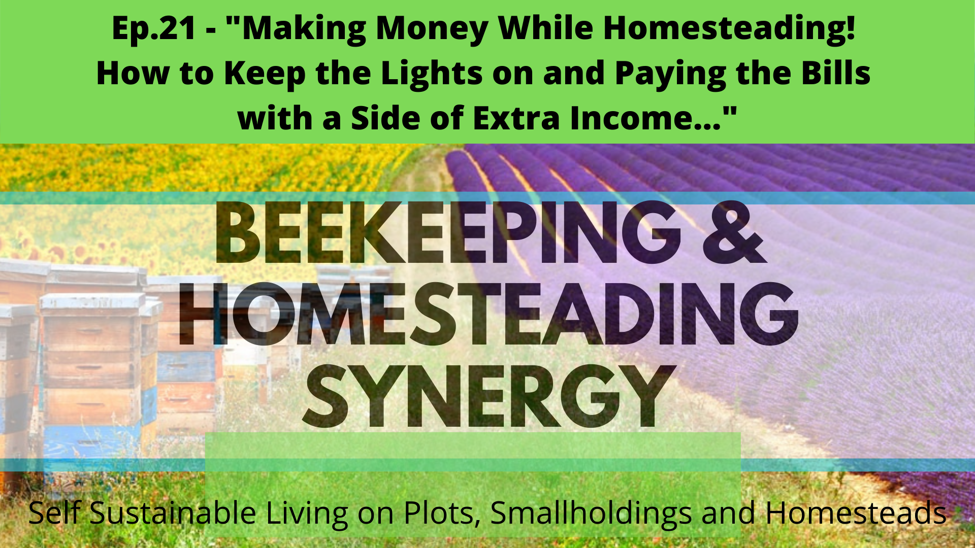 Making Money While Homesteading Keeping The Lights On And Paying The Bills With A Side Of Extra Income...