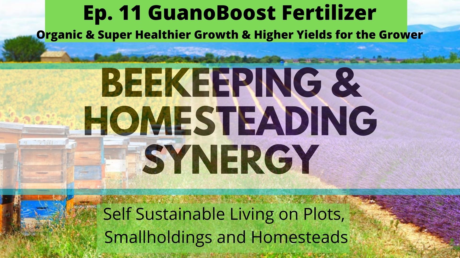 Beekeeping and Homesteading Zoom Talks LIVE