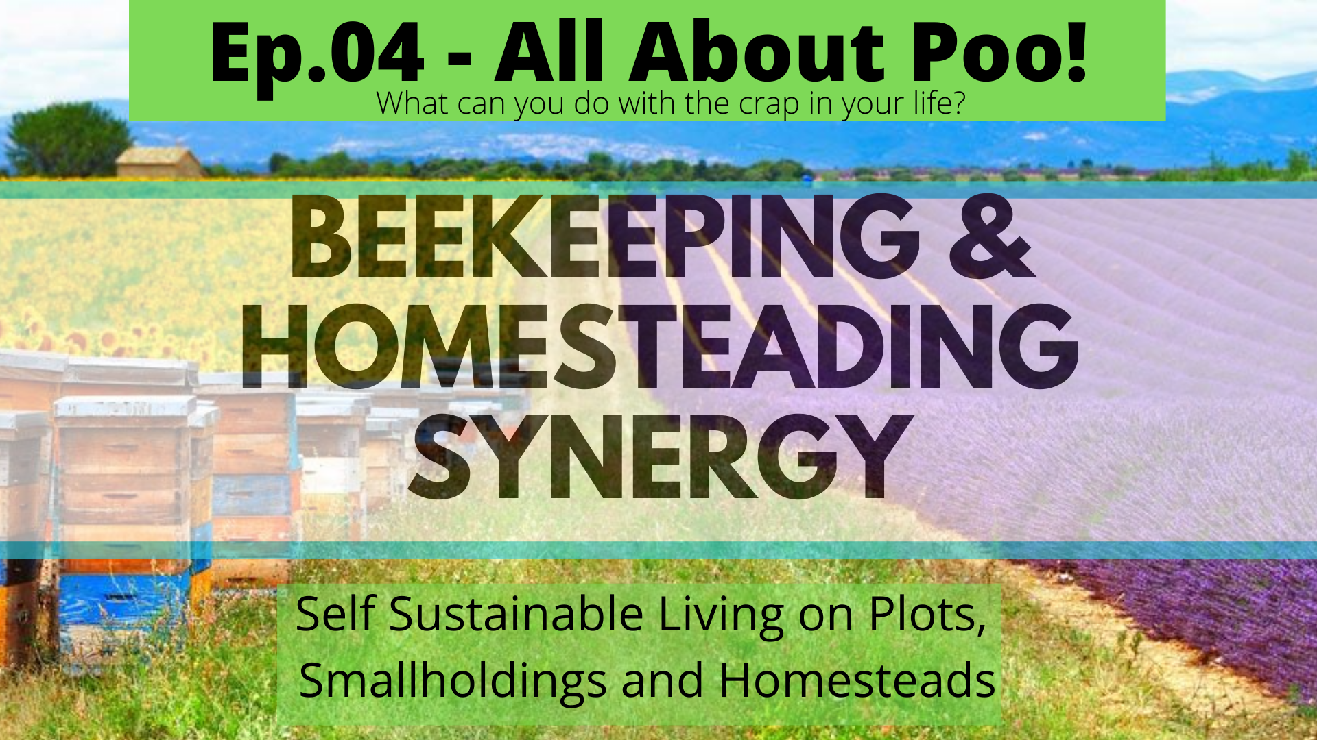 Beekeeping and Homesteading Zoom Talks LIVE