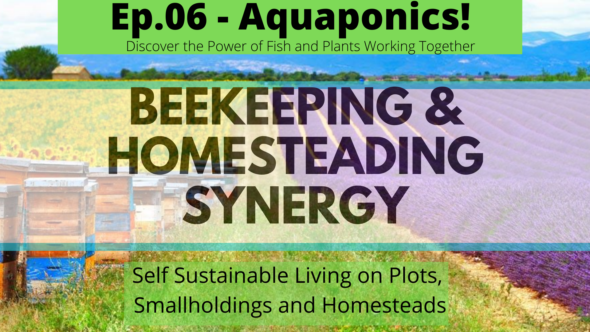 Beekeeping and Homesteading Zoom Talks LIVE