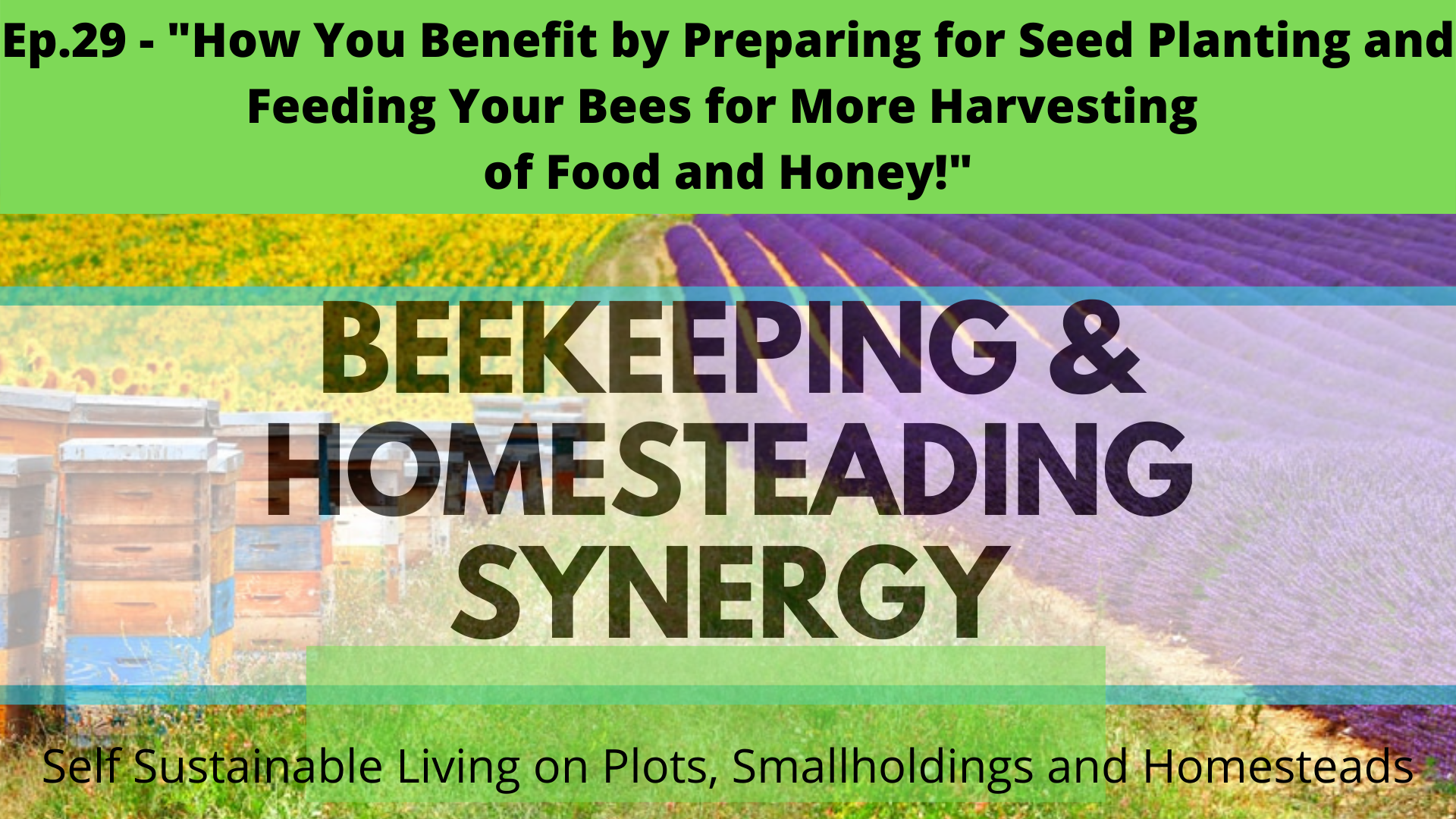 Beekeeping and Homesteading Zoom Talks LIVE